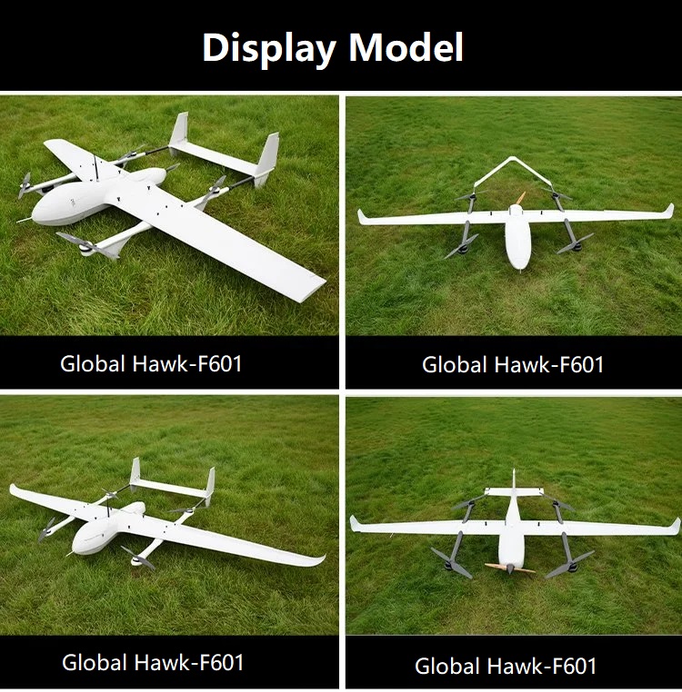 Fixed-wing UAV